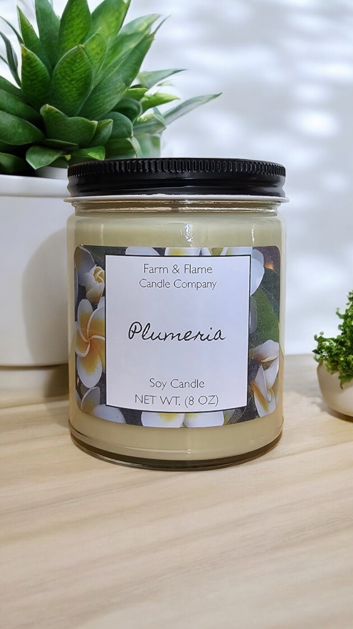 Plumeria