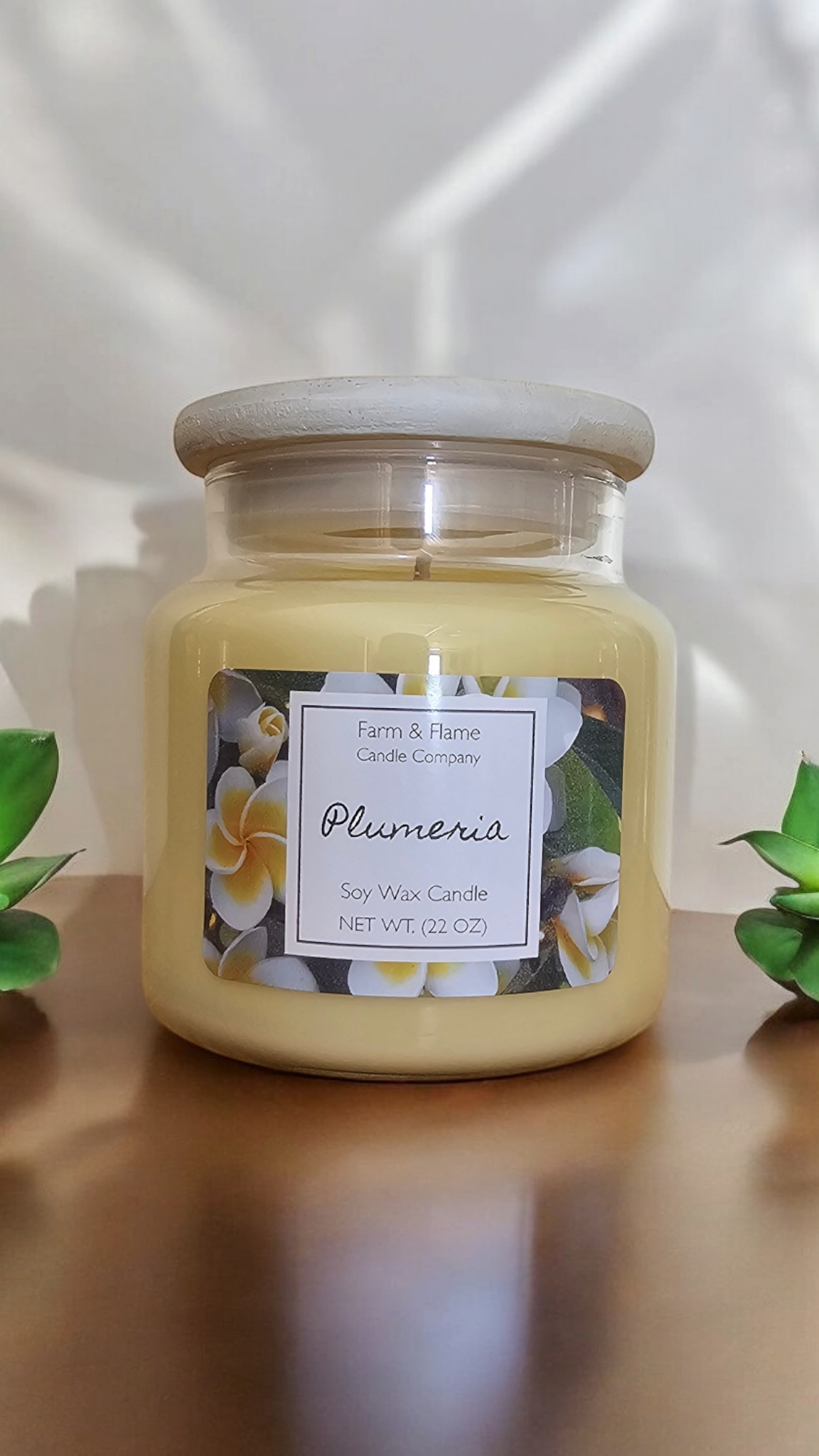 Plumeria